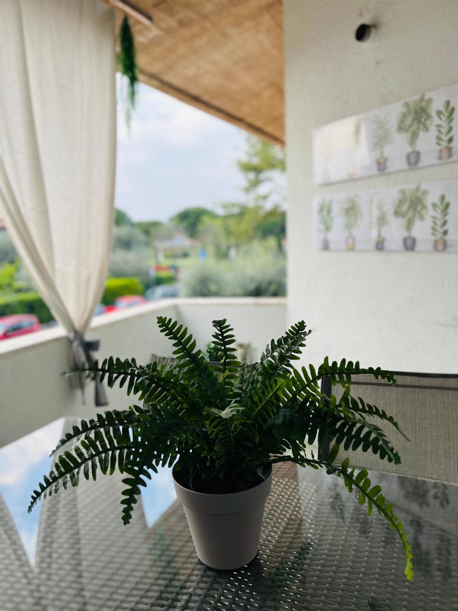 Your Familyapartment In シルミオーネ エクステリア 写真